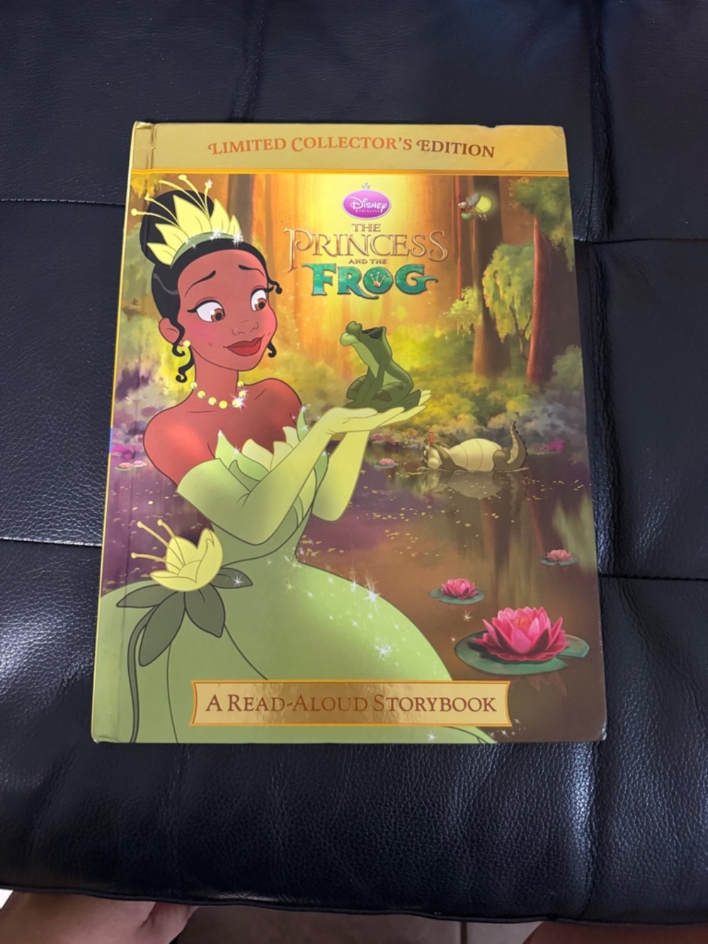 Disney The Princess and the Frog Storybook - Green, Gold, Pink